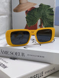 Dior Square Brown Lens Sunglasses for Women