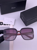 Dior CD2893 Polarized Fashion Brown Lens Sunglasses for Men & Women