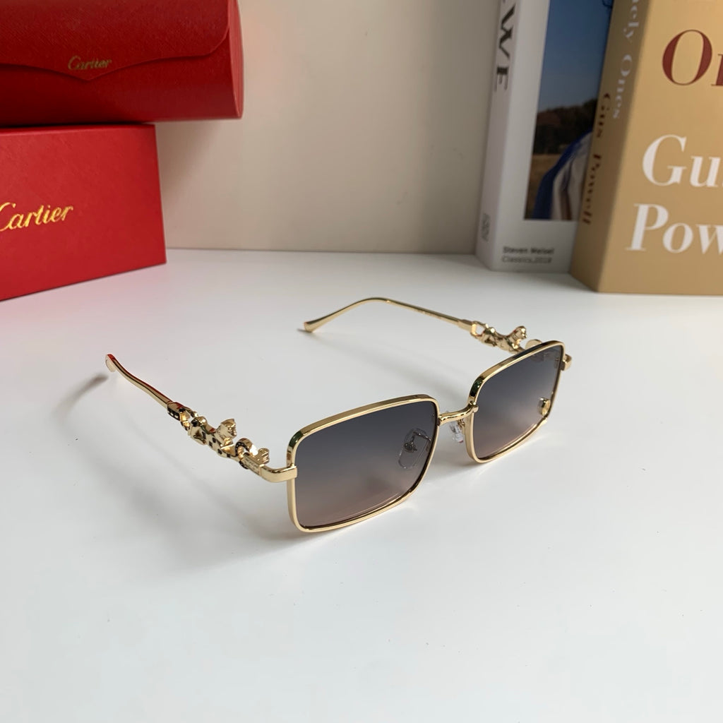 Cartier Metal Square Silver Lens Sunglasses for Men & Women - 158502