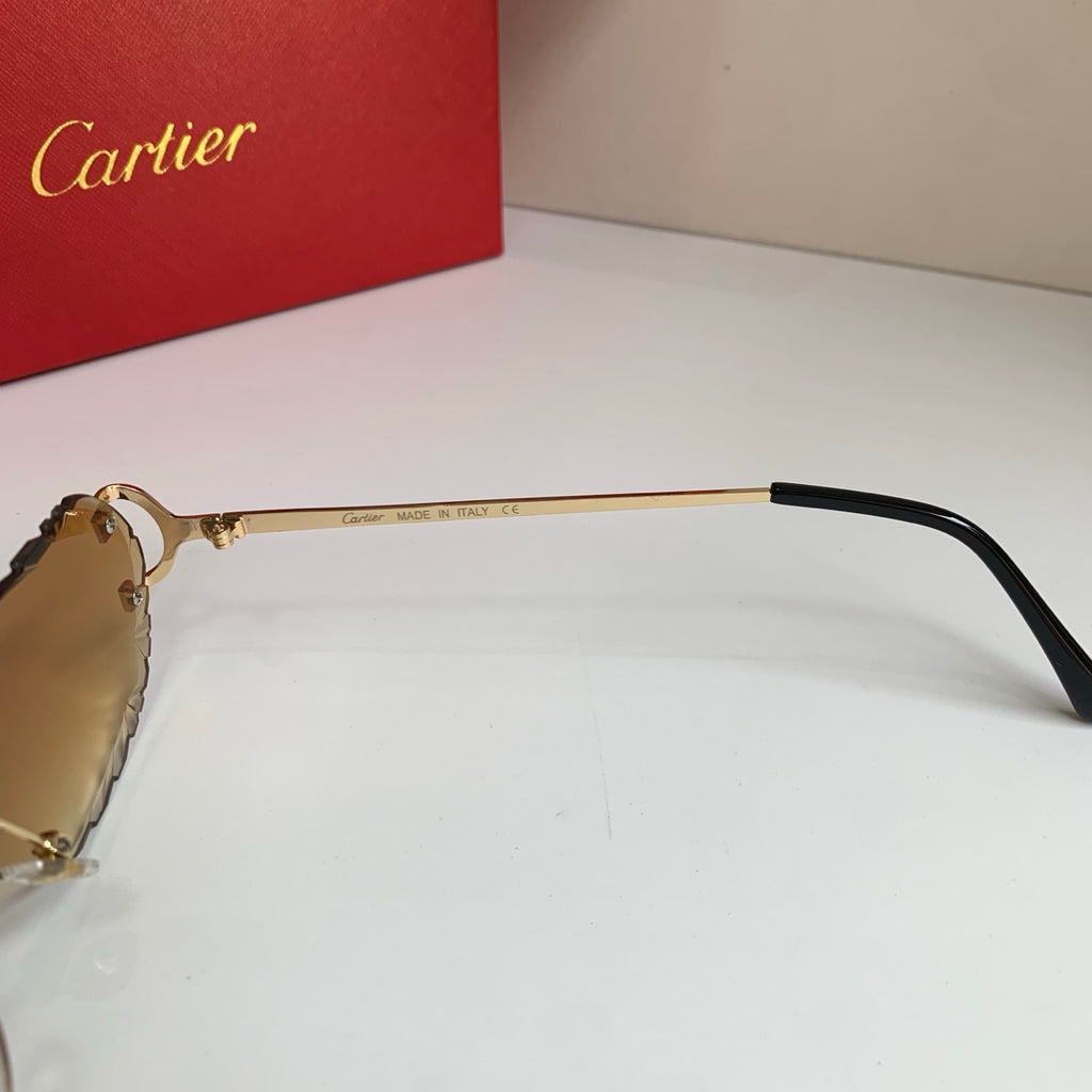 Cartier Fashion Brown Lens Sunglasses for Men & Women - 358565 - detail image 6